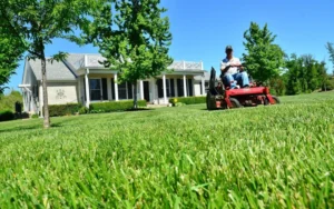 Benefits of Regular Lawn Care Services for Homeowners