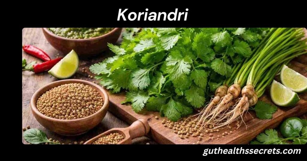 Koriandri: The Powerful Herb for Flavor, Health, and Everyday Living Koriandri