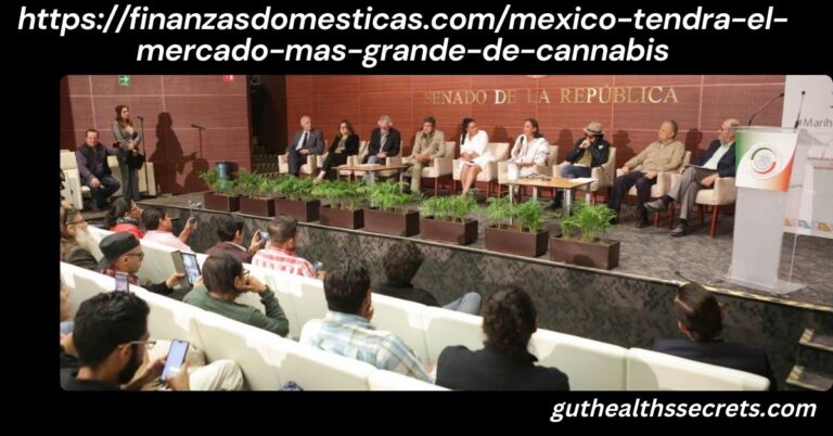 https://finanzasdomesticas.com/mexico-tendra-el-mercado-mas-grande-de-cannabis: What It Means for the U.S., Investors, and the Future of the Industry https://finanzasdomesticas.com/mexico-tendra-el-mercado-mas-grande-de-cannabis