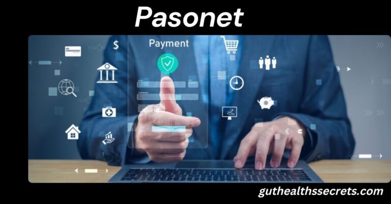 Pasonet: The Modern Digital Payment Platform Pasonet