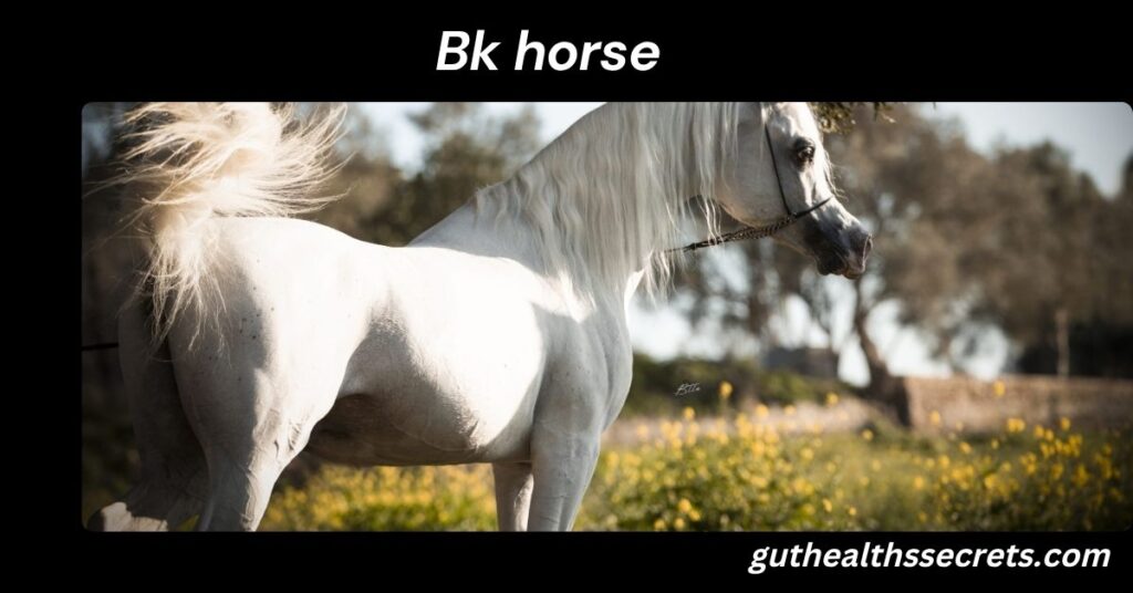 Bk horse