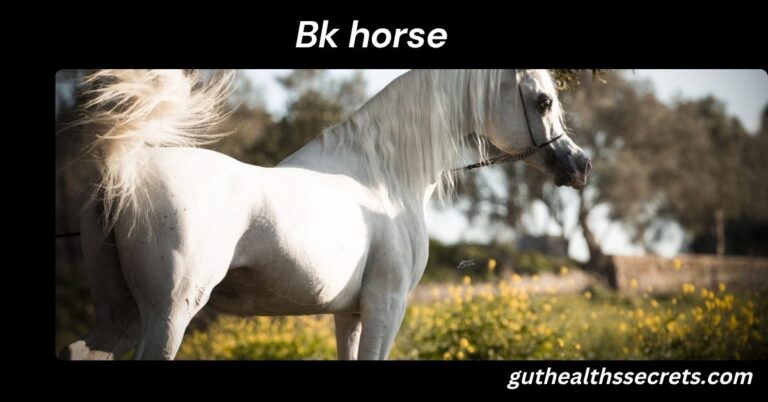 Bk horse: Complete Guide to Traits, Performance, Training, and Care Bk horse