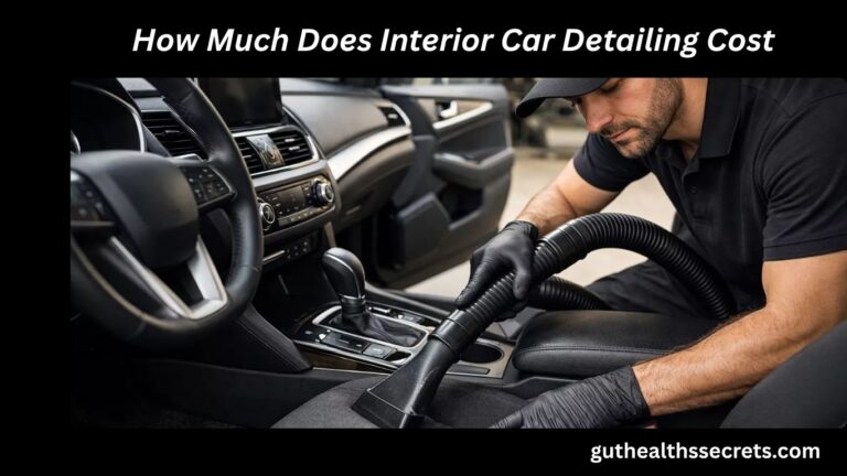 How Much Does Interior Car Detailing Cost? Complete 2026 Price Guide for the US How Much Does Interior Car Detailing Cost