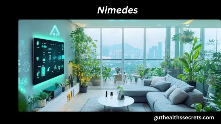 Nimedes: A Modern Framework for Calm Thinking, Digital Balance, and Smarter Living Nimedes
