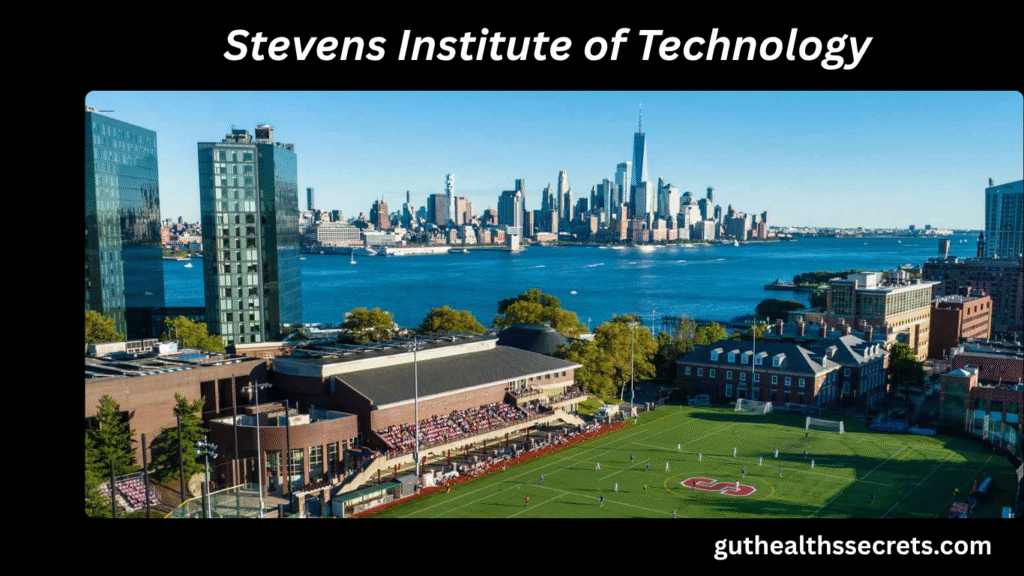 Stevens Institute of Technology