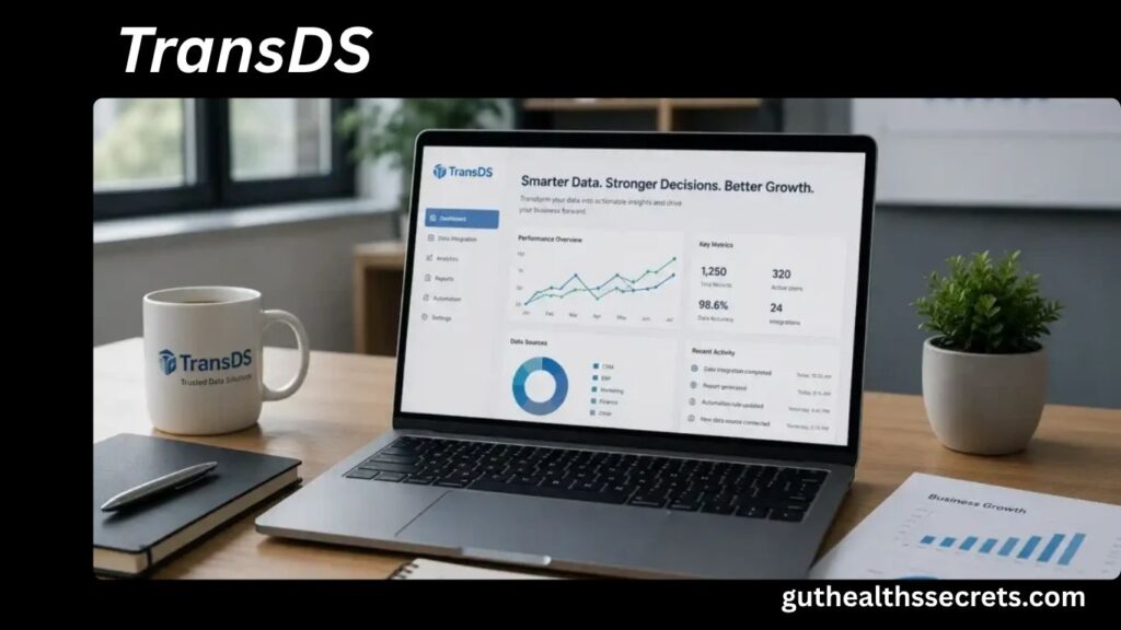 TransDS: Complete Guide to Modern Data Solutions Platform in 2026 (Features & Uses) TransDS