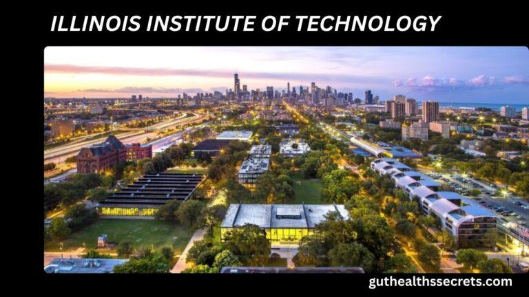 Illinois Institute of Technology