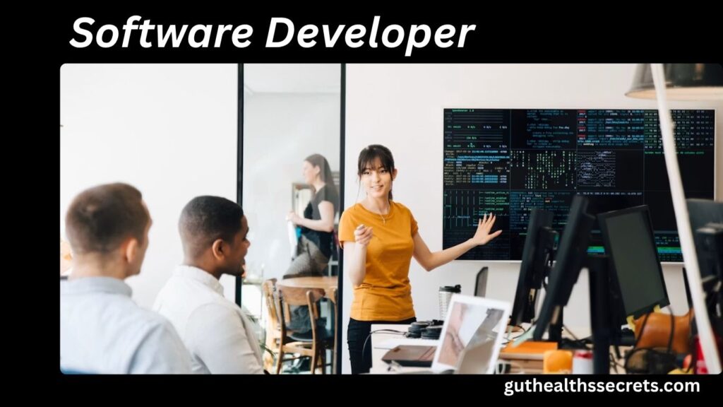 Software Developer