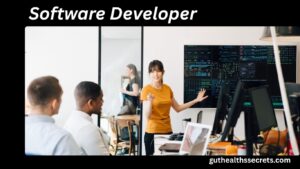 Software Developer